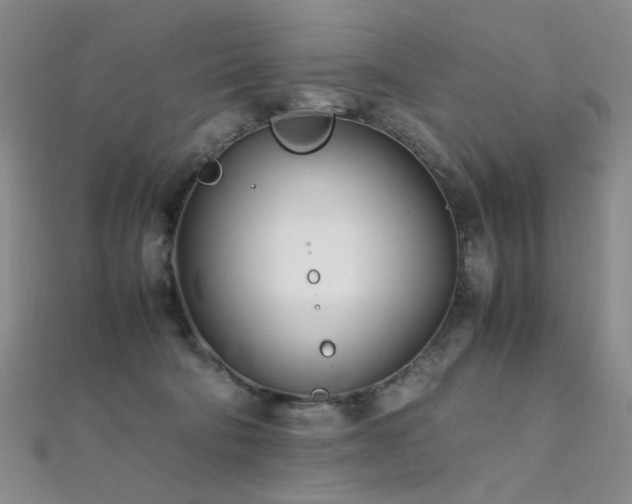 X0000112370322200908131523