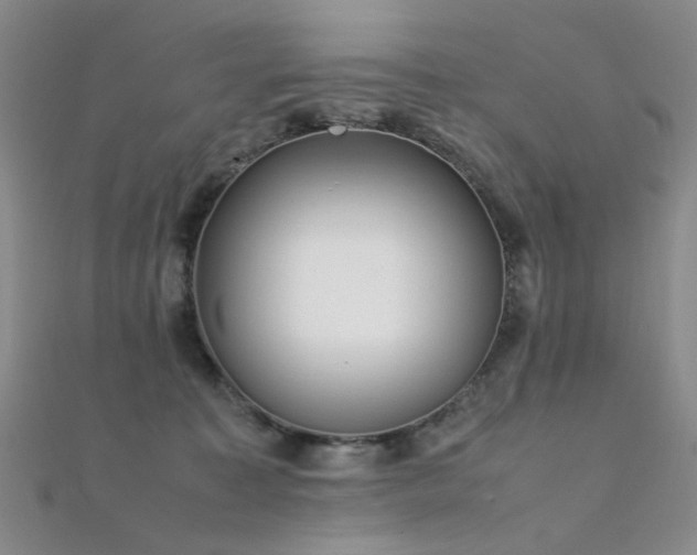 X0000112370323200908131523