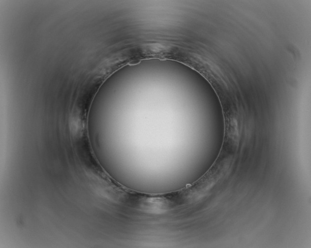 X0000112370324200908131523