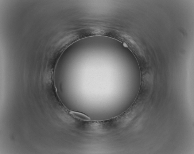 X0000112370325200908131523