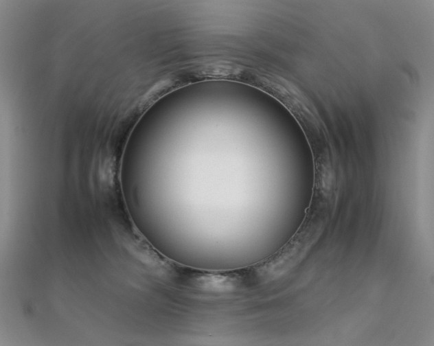 X0000112370326200908131523