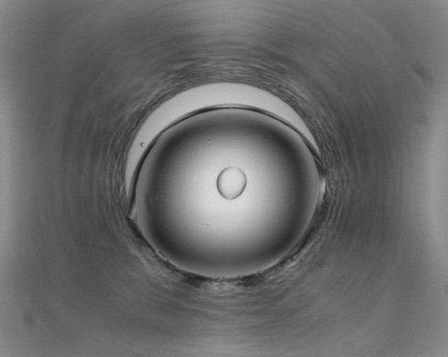 X0000112370327200908131523