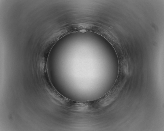 X0000112370328200908131523