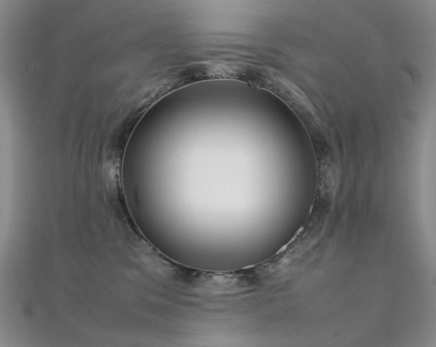 X0000112370329200908131523