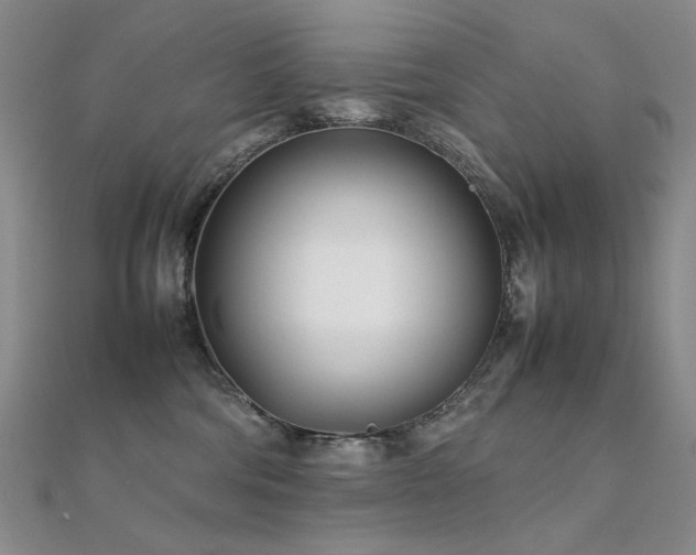 X0000112370330200908131523