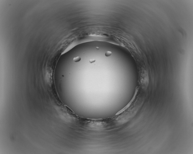 X0000112370332200908131523