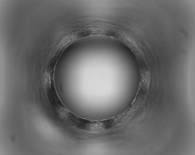 X0000112370333200908131523