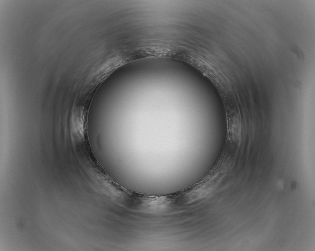 X0000112370334200908131523