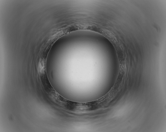 X0000112370335200908131523