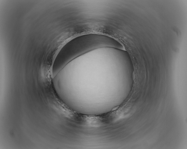 X0000112370336200908131523