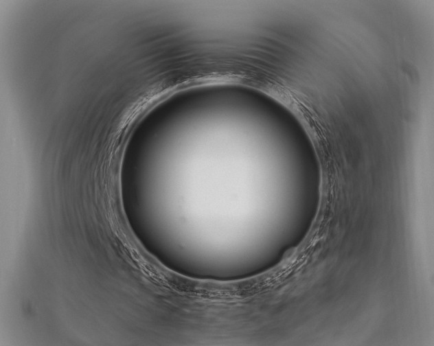 X0000112370337200908131522