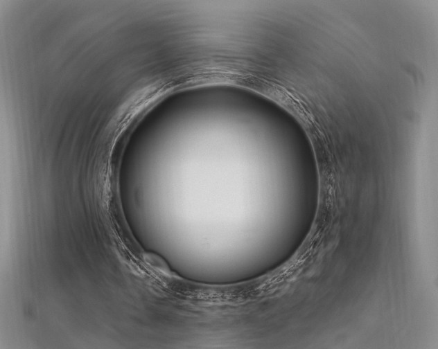 X0000112370338200908131522