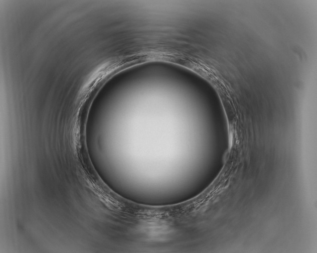 X0000112370339200908131522