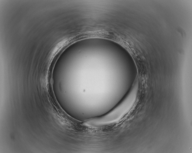 X0000112370340200908131522