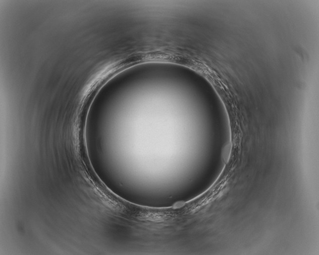 X0000112370341200908131522