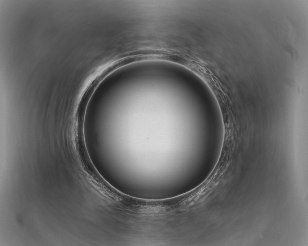 X0000112370342200908131522