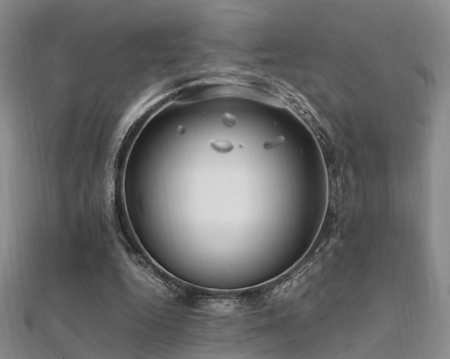 X0000112370344200908131522