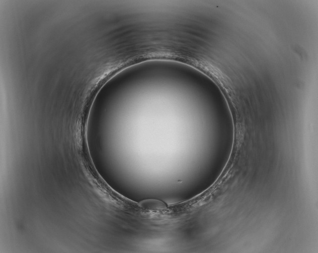 X0000112370345200908131522