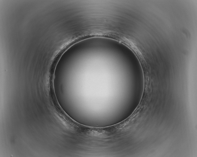 X0000112370346200908131522