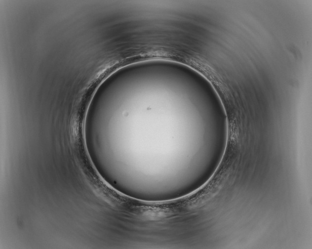 X0000112370347200908131522