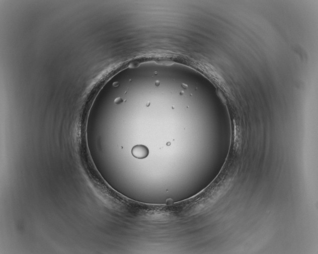 X0000112370348200908131522