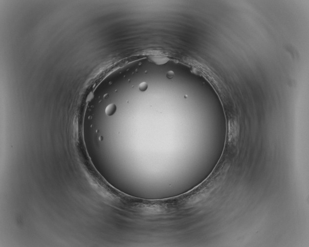 X0000112370349200908131522