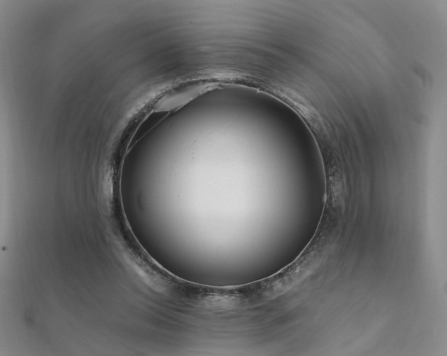 X0000112370350200908131522