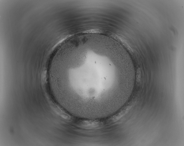 X0000112370351200908131522