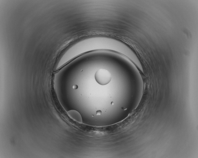 X0000112370352200908131522