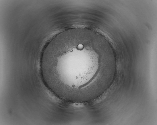 X0000112370353200908131522