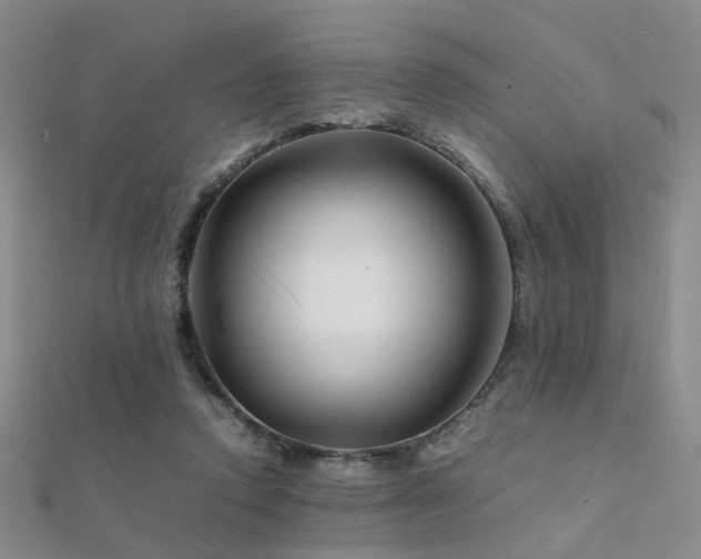 X0000112370354200908131522