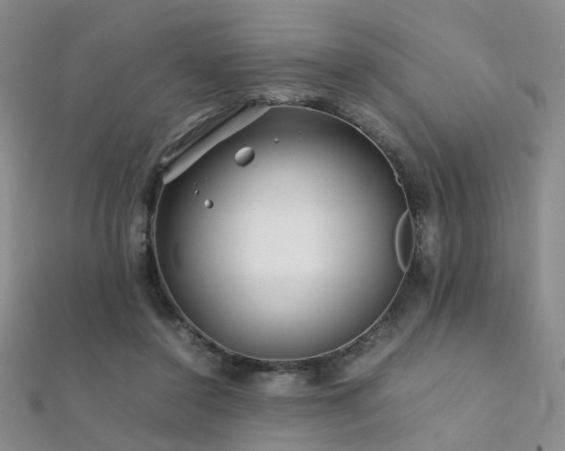 X0000112370356200908131522