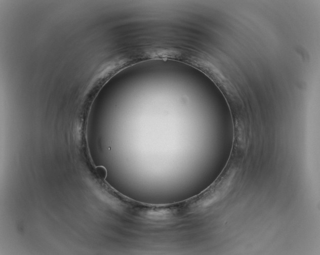 X0000112370357200908131522