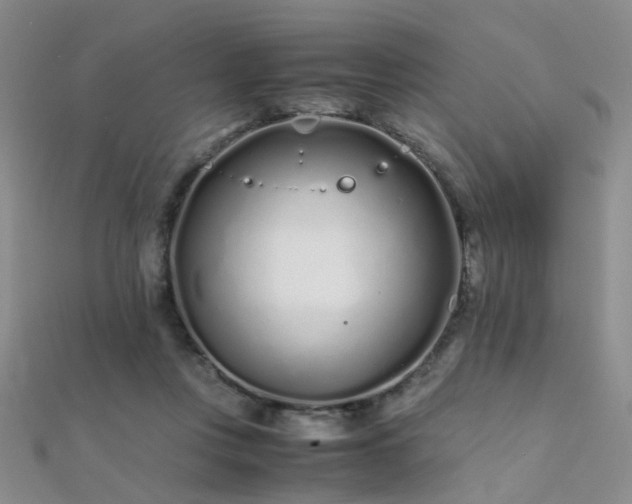 X0000112370359200908131522