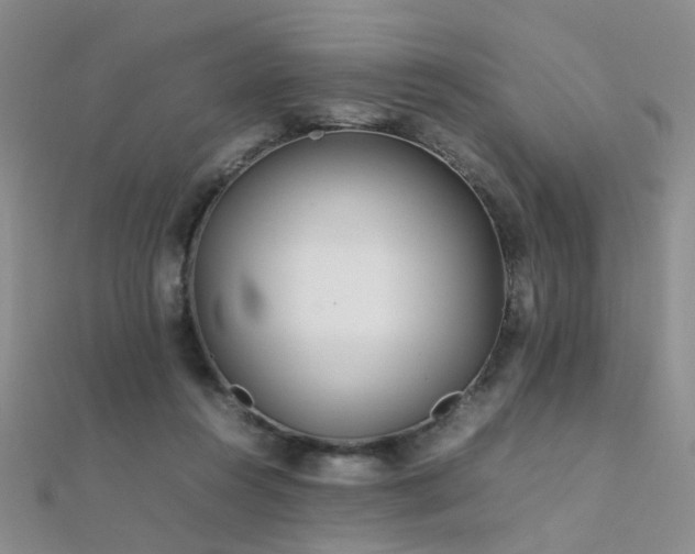 X0000112370360200908131522