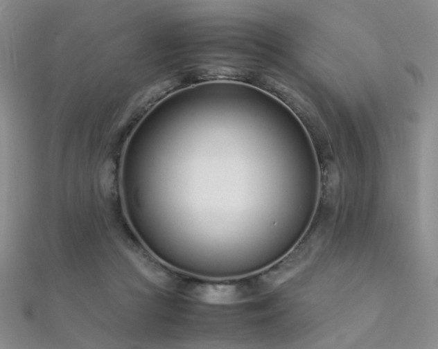 X0000112370361200908131522