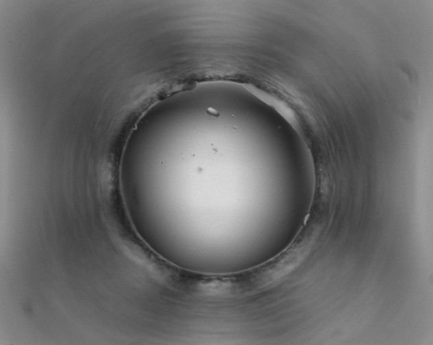 X0000112370362200908131522