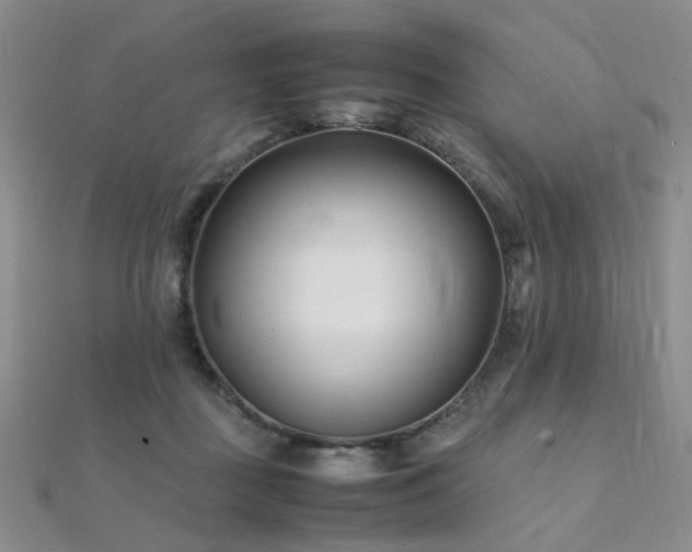 X0000112370363200908131522