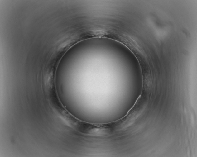 X0000112370364200908131522