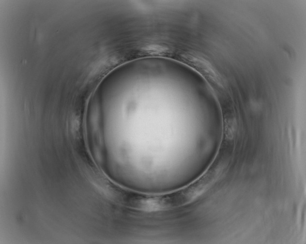 X0000112370365200908131522