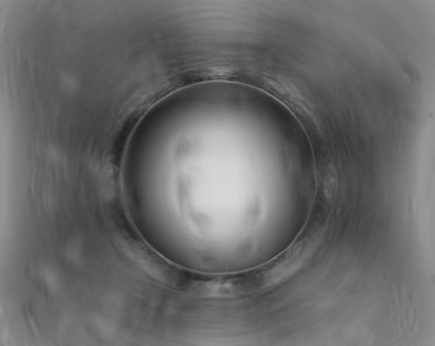 X0000112370366200908131522