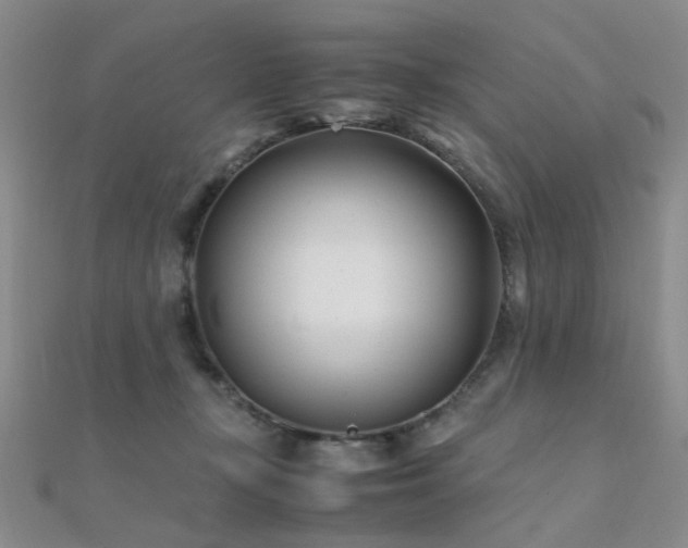 X0000112370367200908131522