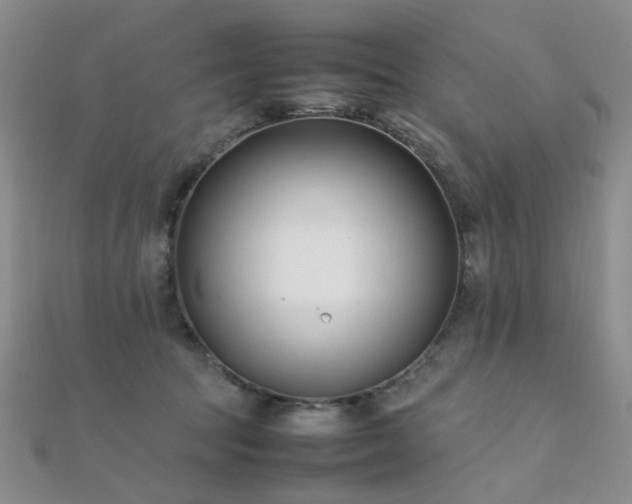 X0000112370369200908131522