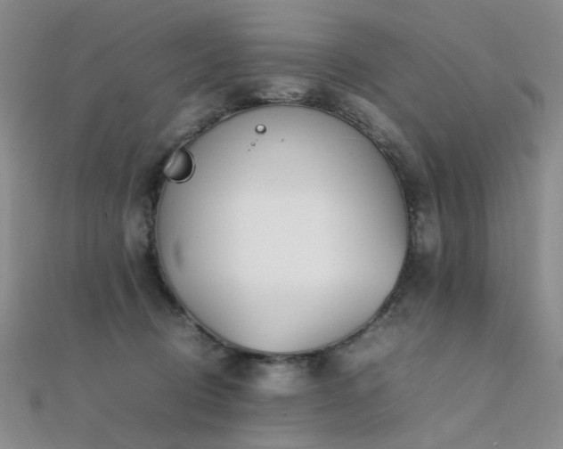 X0000112370370200908131522