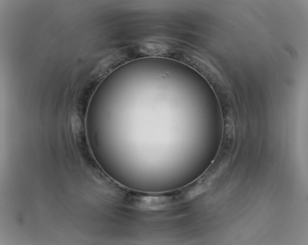 X0000112370371200908131522