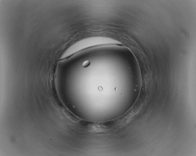 X0000112370372200908131522