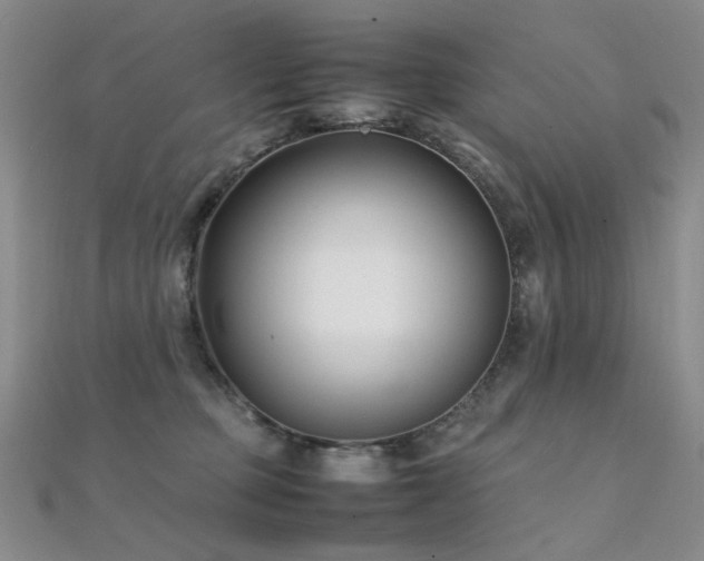 X0000112370373200908131522