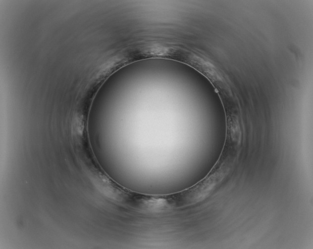 X0000112370374200908131523