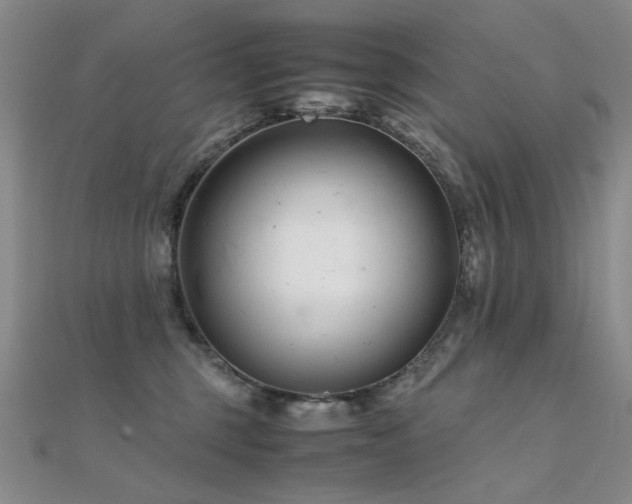 X0000112370375200908131523