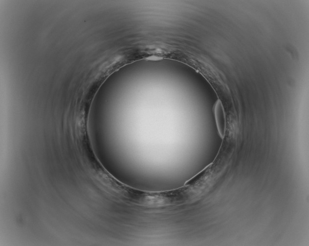 X0000112370376200908131523